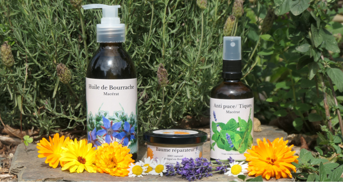 Soins naturel chiens