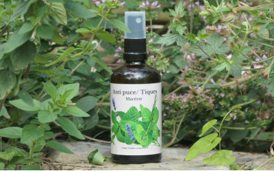 Antiparasitaire Naturel préventif
